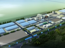 艾地盟100萬噸食品配料項目